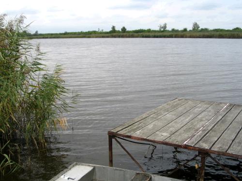 Ferienhaus in Dombori an der Donau S�d-Ungarn