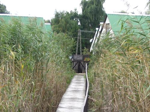 Ferienhaus in Dombori an der Donau S�d-Ungarn
